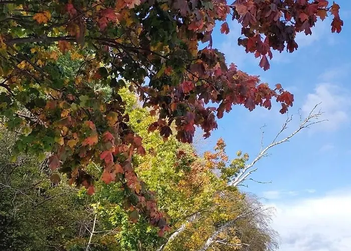 Apartment Bayapart - Mieszkanie Przy Plazy *